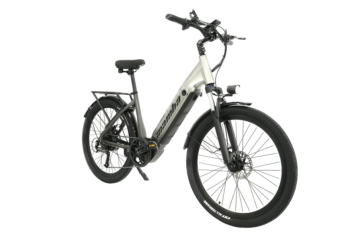 Mamba Savannah Electric Bike 48V 17Ah Silver